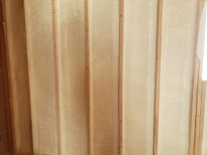 Intumescent Coatiing | Colony Insulation