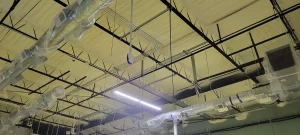 Intumescent Coatiing | Colony Insulation