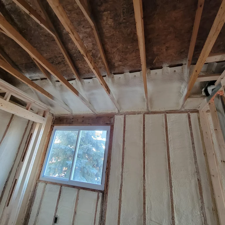 Expert Spray Foam Insulation Contractor
