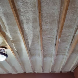 Intumescent Coatiing | Colony Insulation